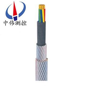 承荷探測(cè)電纜.jpg