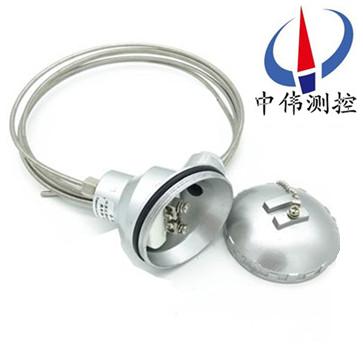 16鎧裝式鉑電阻.jpg